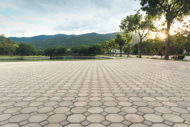 Best Driveway Paving Contractor  in Pagould, AR